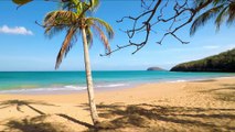 Guadeloupe | Guadeloupe Island | Guadeloupe Stock Footage | Copyright Free Videos | Free Stock Video