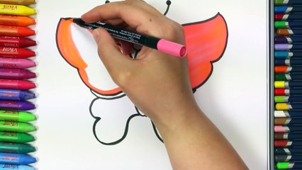 How to draw a butterfly - How to draw and color