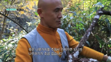 한국기행 - Korea travel_가을 뜨락에서 2부- 행복을 나누는 산사_#001