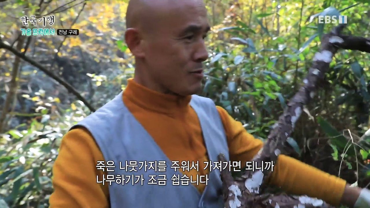 한국기행 - Korea travel_가을 뜨락에서 2부- 행복을 나누는 산사_#001