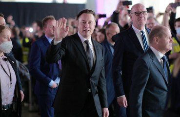 Elon Musk declares he’s not ‘suicidal’ while discussing Twitter Files leaks