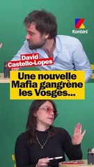 Une nouvelle mafia gangrène les Vosges