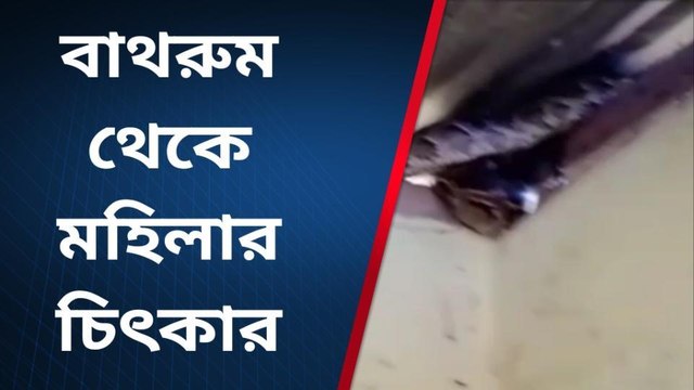 জলপাইগুড়ি: সাইজ দেখে বাথরুমেই চিৎকার জুড়ে দিলেন মহিলা !চাঞ্চল্যকর দৃশ্য দেখুন