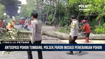 Polsek Paron Bersama Instansi Terkait Ngawi Lakukan Penebangan Pohon