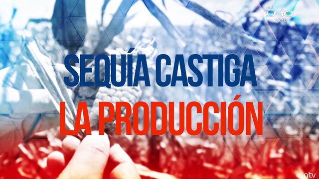 Productores afectados por sequía prevén desabastecimiento de alimento para inicios del 2023