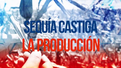 Productores afectados por sequía prevén desabastecimiento de alimento para inicios del 2023