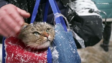 Ukraine-Krieg: Notleidende sind überwiegend 60 Jahre und älter