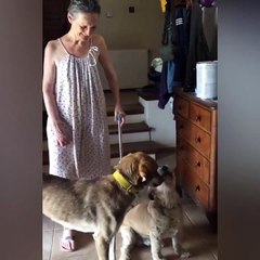 Hayatını kaybeden oyuncu Güzin Çorağan'ın son görüntüsü ortaya çıktı