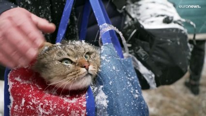Un 34% de los civiles fallecidos desde el inicio de la invasión tienen más de 60 años