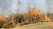 महराजगंज: आग की लपटों ने मचाया तांडव, किसान की मेहनत जल कर हुई राख