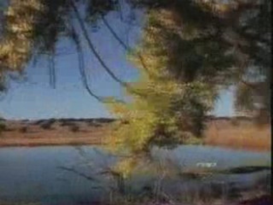 2pac - i wonder if heaven got a ghetto