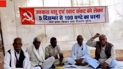 मुरैना : खाद संकट को लेकर किसानों ने 100 घंटे का किया धरना -प्रदर्शन, सरकार से लगाई गुहार