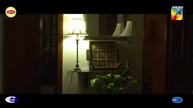 Hum Tum - [Lyrical OST] - Singers_ Ali Zafar