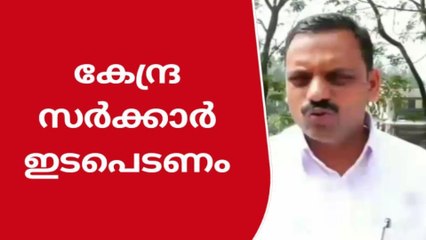 തേയില കൊളുന്തിൻ്റെ വിലയിടിവ് പരിഹരിക്കാൻ കേന്ദ്ര സർക്കാർ ഇടപെടണം :ഡീൻ കുര്യാക്കോസ്