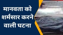 मानवता हुई शर्मसार: सड़क दुर्घटना में मरने वाले युवक के शव को नोचते रहे कुत्ते, वीडियो वायरल