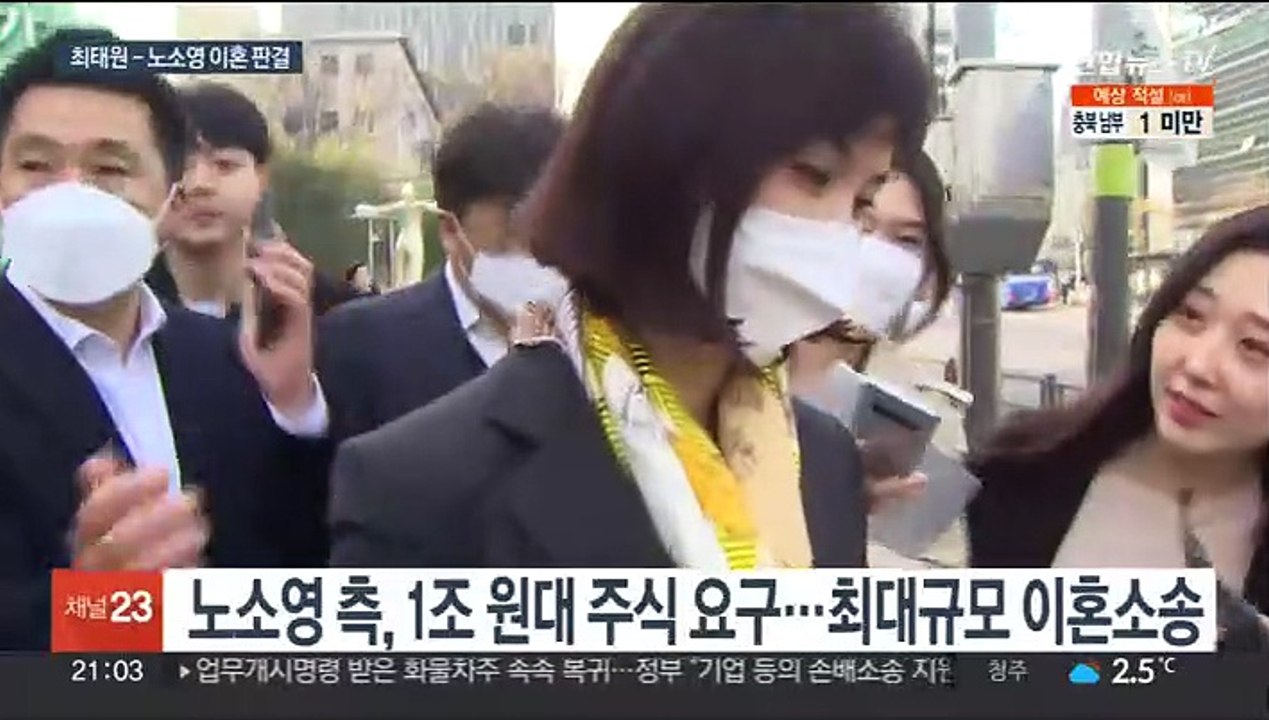 최태원-노소영 이혼 판결…"SK주식은 분할 안 돼"