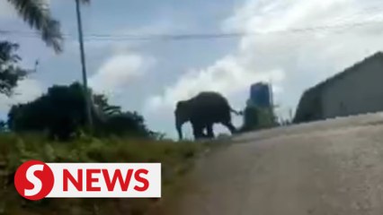 State Wildlife Dept stretched in manpower