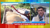 Avicultores advierten que “no está garantizada la provisión de maíz” para 2023 y urgen decreto de importación