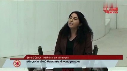 Sen kimsin ki hesap soruyorsun? PKK destekçisi HDP’li vekil savunmaya ayrılan bütçeyi eleştirdi