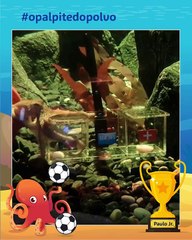 Portugal vai vencer o jogo desta noite