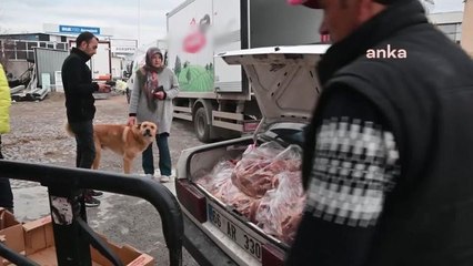 Yozgat'ta Sokak Hayvanlarını Besleyip Bakımını Yapan 2 Hayvansever Destek Bekliyor