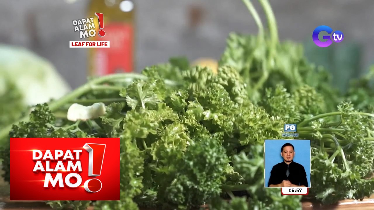 Berdeng dahon ng ilang puno’t halaman, ano-ano ang health benefits ...