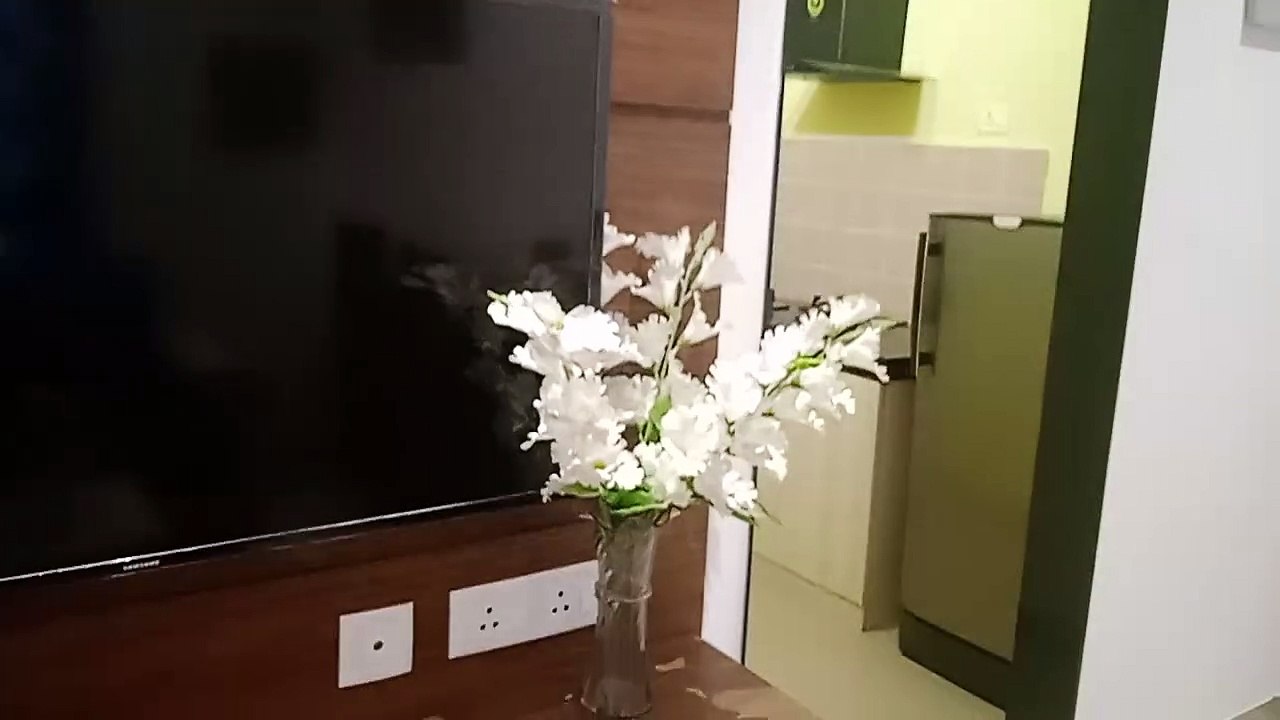 Model flat for showing runing project