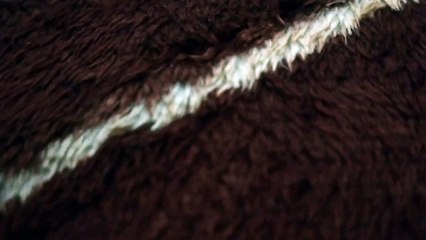 Computer Recoder System with Unique Design