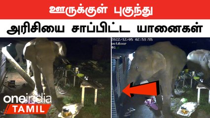 Coimbatore Elephant | கிராமங்களுக்குள் புகுந்து மக்களை அச்சுறுத்திவரும் காட்டு யானைகள்