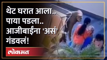 घरात घुसला... आजीबाईंच्या पाया पडलं.. मग जे केलं, ते भयंकर होतं! | Crime News | Viral Video | CCTV