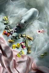 A White Mouse Eating Painted Ribbon Pasta