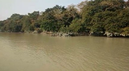 গঙ্গা ভাঙনে বিপন্ন শিবপুর বোটানিক্যাল গার্ডেন, পরিস্থিতি সরোজমিনে দেখলেন পরিবেশ কর্মী সুভাষ দত্ত