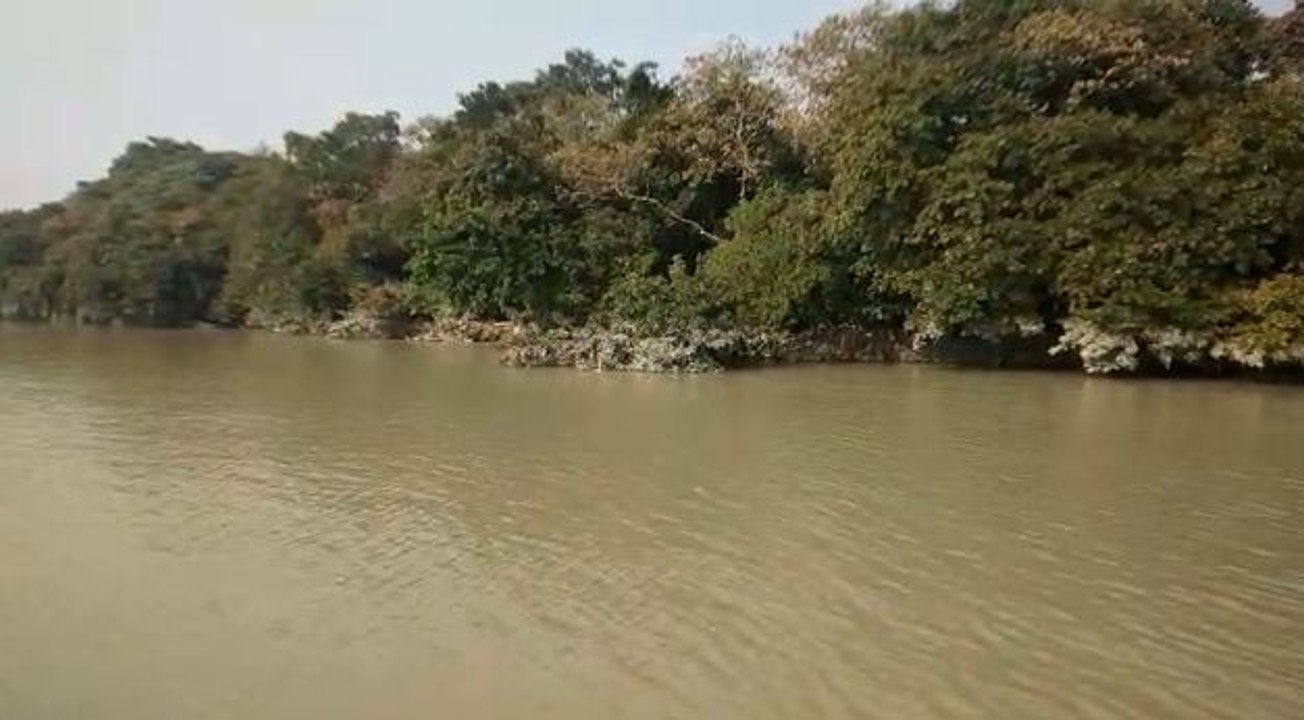 গঙ্গা ভাঙনে বিপন্ন শিবপুর বোটানিক্যাল গার্ডেন, পরিস্থিতি সরোজমিনে দেখলেন পরিবেশ কর্মী সুভাষ দত্ত