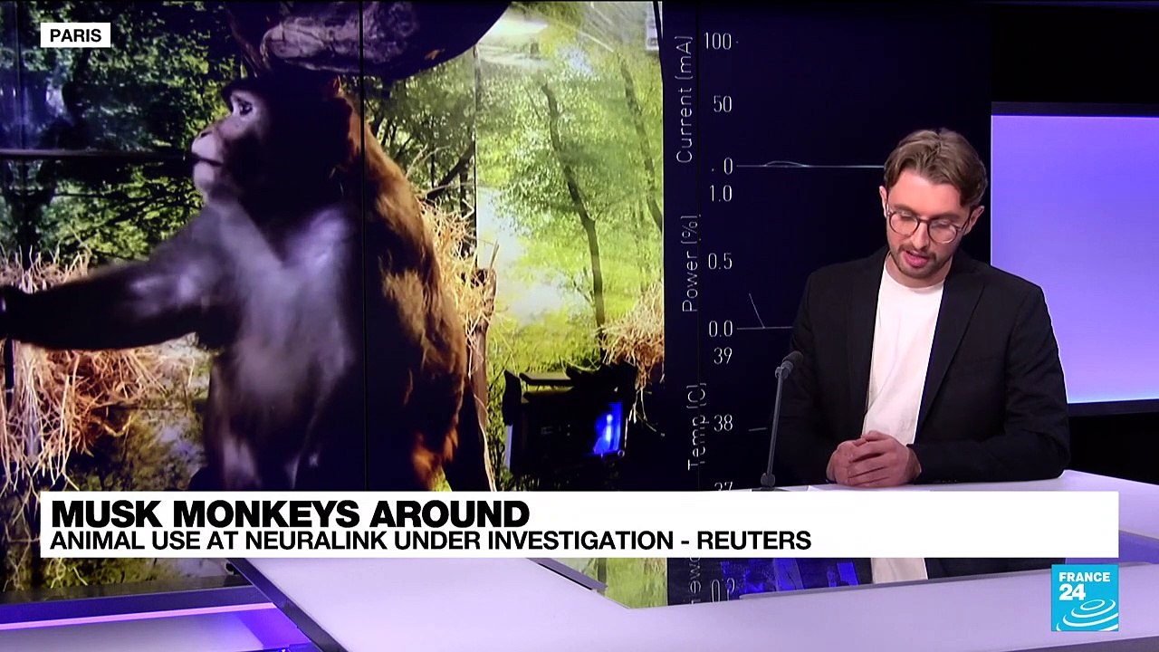 Musk's Neuralink under US investigation for treatment of animals, Reuters reports