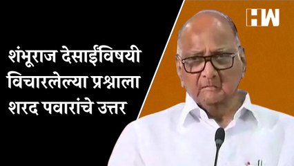शंभूराज देसाईंविषयी विचारलेल्या प्रश्नाला शरद पवारांचे उत्तर | Karnataka | Maharashtra  |