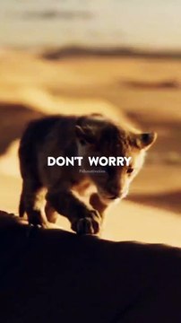 Sigma rule I WhatsApp status I Motivational quotes shorts attitude