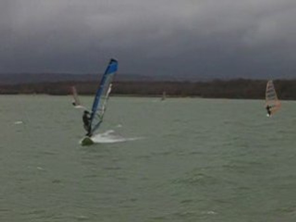 MADINE 16 3 2008 037 DUCK