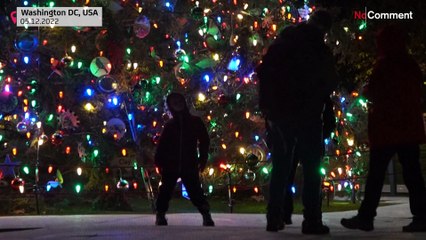 Christmas decorations light up cities around the world