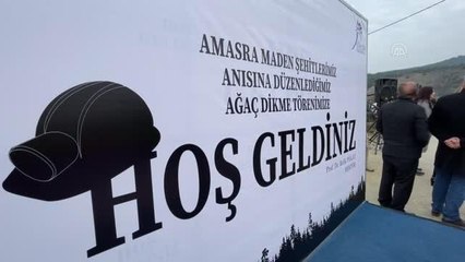 Amasra'daki maden kazasında hayatını kaybedenler adına ağaç dikildi