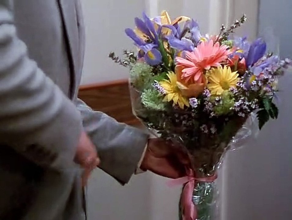 Agentin mit Herz Staffel 3 Folge 17