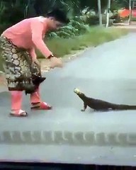 Good guy help poor lizard head stuck with empty tin cans.