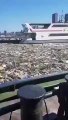 Puerto lleno de basuras