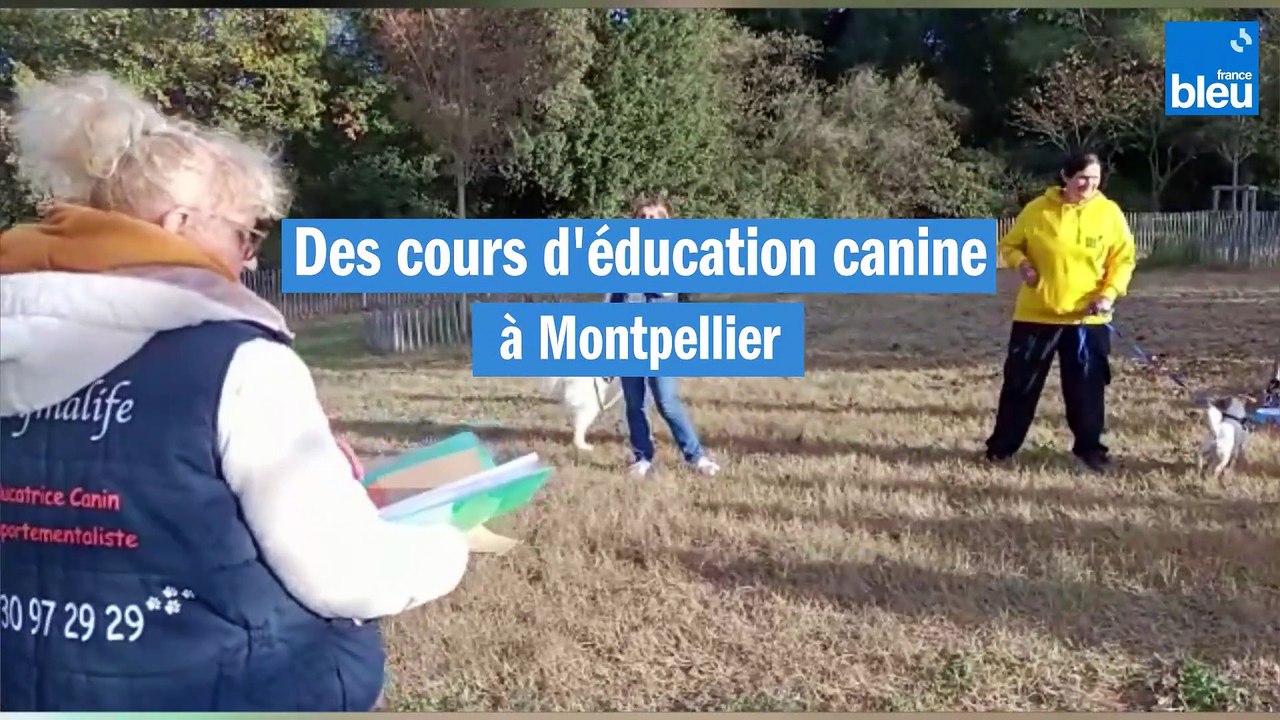 Des cours d'éducation canine gratuits à Montpellier