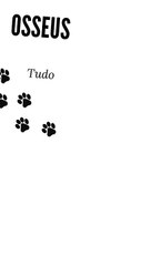 Cães lindo - produtos incriveis