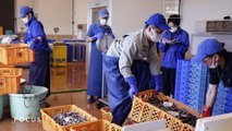 El trabajo de autoridades y ciudadanos para garantizar la salubridad de las aguas en Fukushima
