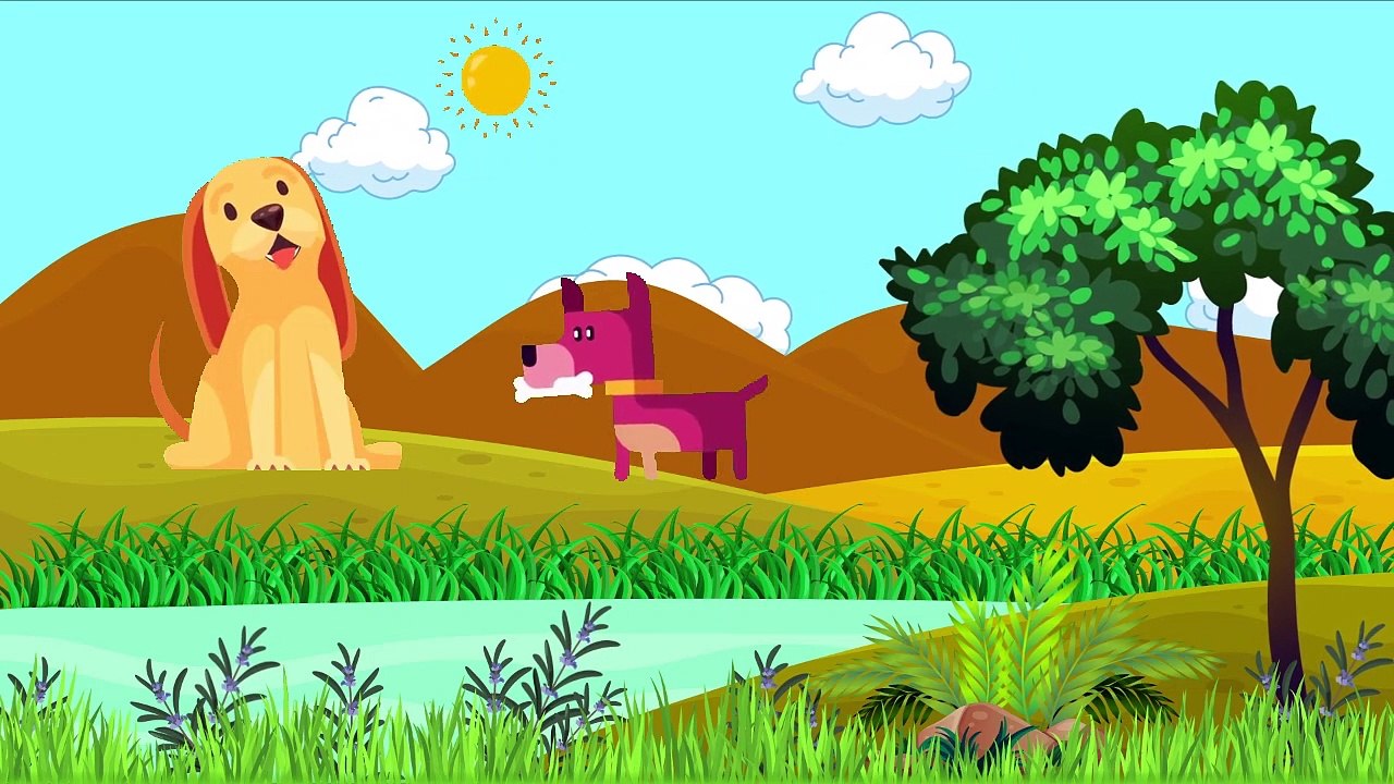 BINGO Dog Song - Nursery Rhyme - Cartoon Animation Rhymes & Songs for Children