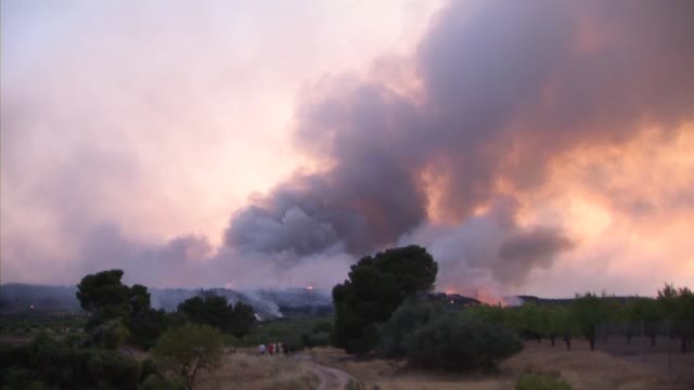 Los incendios de verano dejan sin alimento a ciervos y corzos