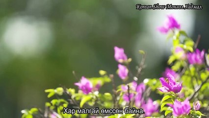 Love Catcher in Bali 2