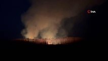 Eber Gölü'nde yangın: Son bir ay içerisinde 7. yangın