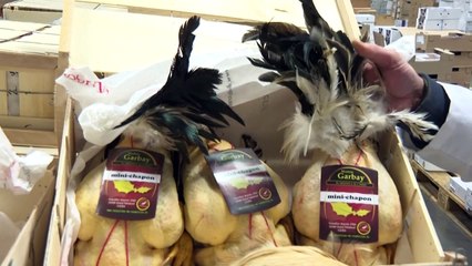 Rungis se prépare pour les fêtes de Noël, marquées par l'inflation